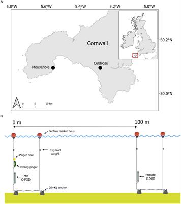 Assessing the Effects of Banana Pingers as a Bycatch Mitigation Device for Harbour Porpoises (Phocoena phocoena)